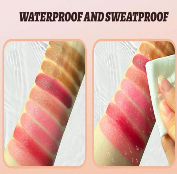 Blush and Concealer Set